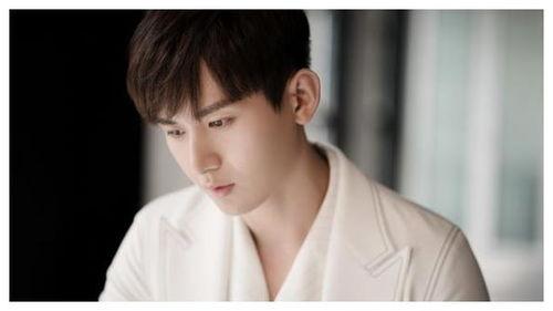 娱乐圈吃瓜成毅是谁啊,从幕后推手到话题焦点